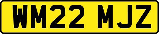 WM22MJZ