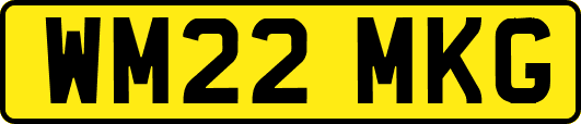 WM22MKG