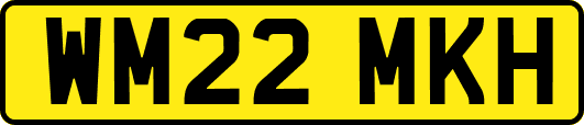 WM22MKH