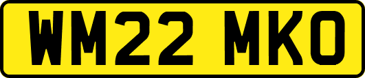 WM22MKO