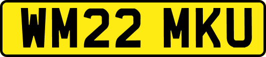 WM22MKU