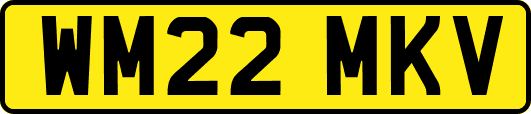 WM22MKV