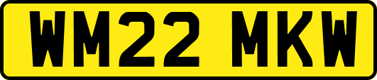 WM22MKW