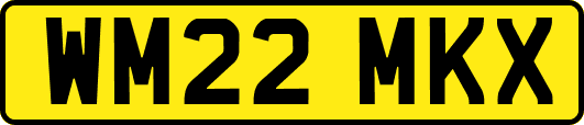 WM22MKX