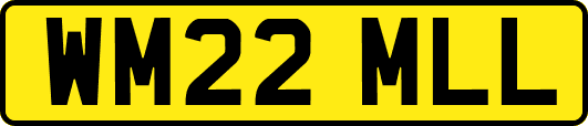 WM22MLL
