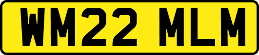 WM22MLM