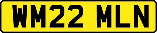 WM22MLN