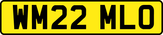 WM22MLO
