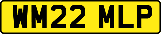 WM22MLP