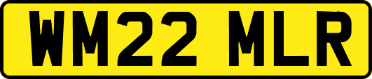 WM22MLR