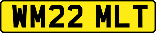 WM22MLT
