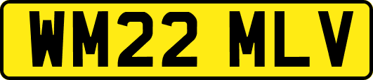 WM22MLV