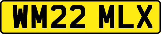 WM22MLX