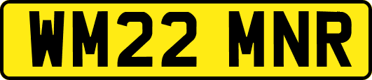 WM22MNR