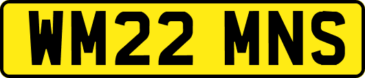 WM22MNS