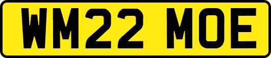 WM22MOE