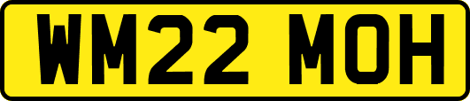WM22MOH