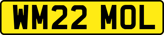 WM22MOL