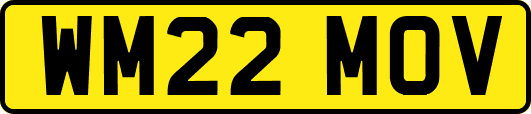 WM22MOV