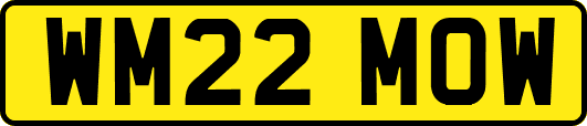 WM22MOW