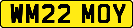 WM22MOY