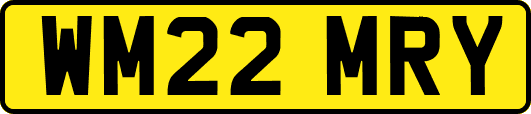 WM22MRY
