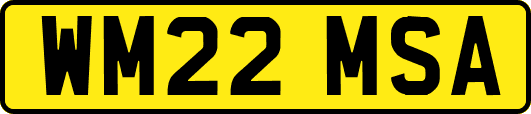 WM22MSA