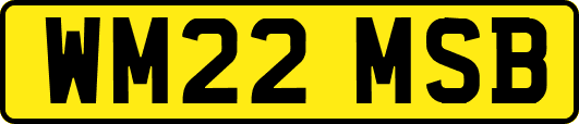 WM22MSB