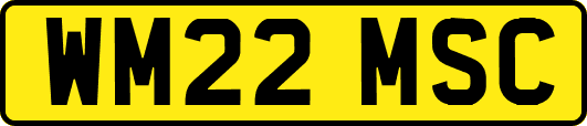 WM22MSC