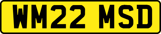 WM22MSD