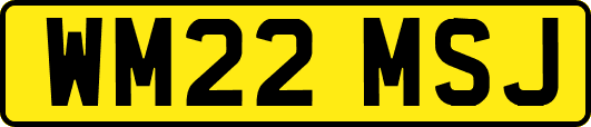 WM22MSJ