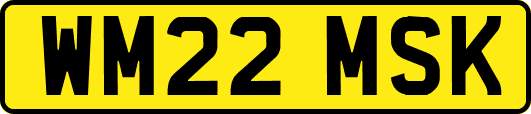 WM22MSK