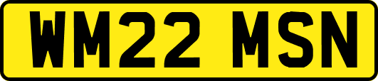 WM22MSN