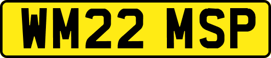WM22MSP