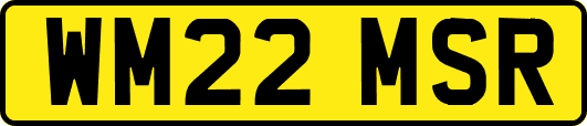 WM22MSR