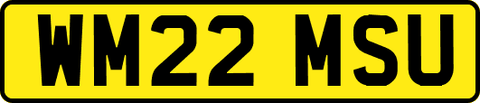 WM22MSU