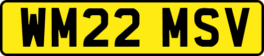 WM22MSV