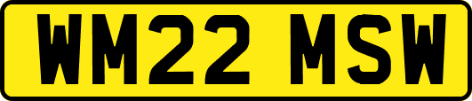 WM22MSW