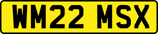 WM22MSX
