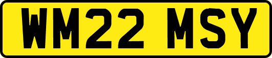 WM22MSY