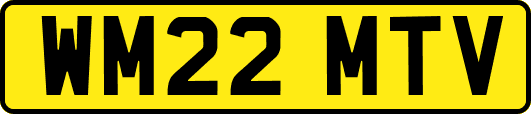 WM22MTV