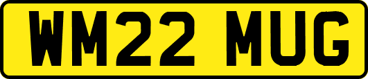 WM22MUG