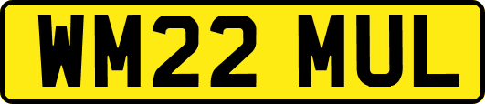 WM22MUL