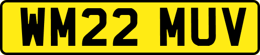 WM22MUV