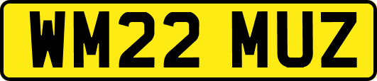 WM22MUZ