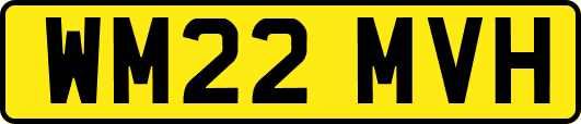 WM22MVH