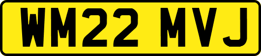 WM22MVJ