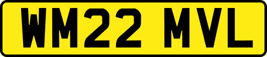 WM22MVL