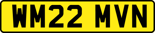WM22MVN