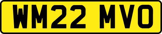 WM22MVO